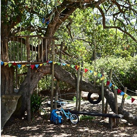 Shepherd'S Tree Backpackers Knysna Exteriör bild