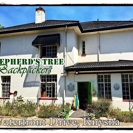 Shepherd'S Tree Backpackers Knysna Exteriör bild