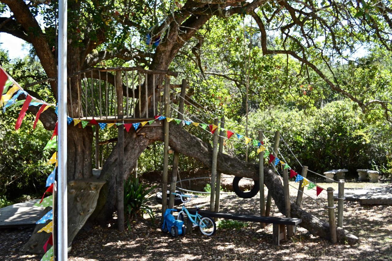 Shepherd'S Tree Backpackers Knysna Exteriör bild